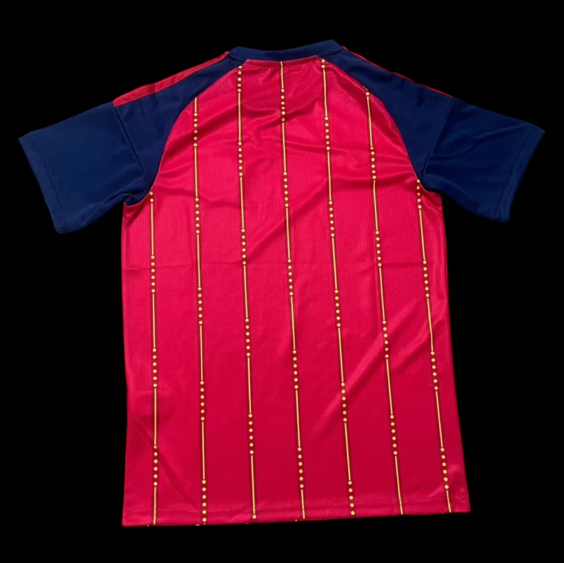 Espagne Maillot Domicile 26/27