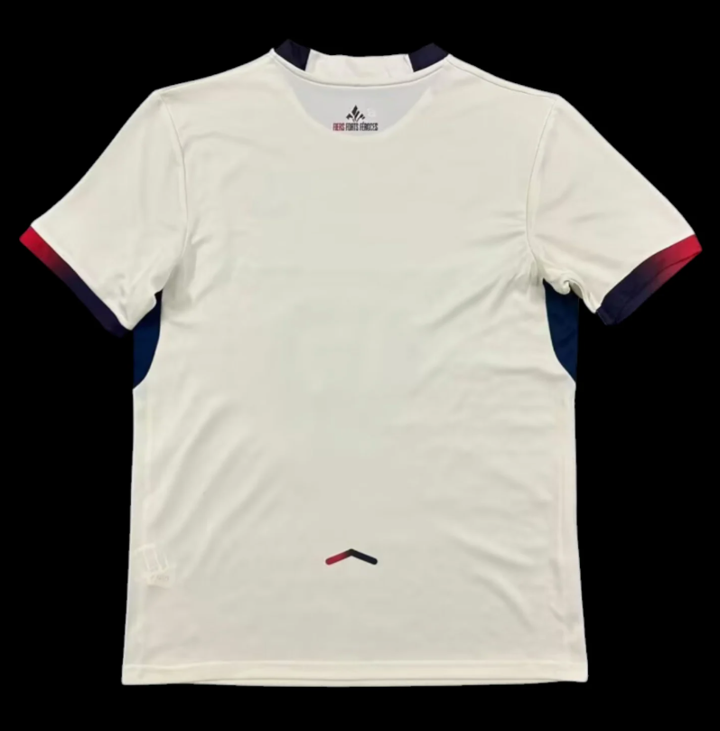 Lille Maillot Extérieur 25/26