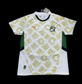 Cote d’Ivoire Maillot Extérieur 24/25