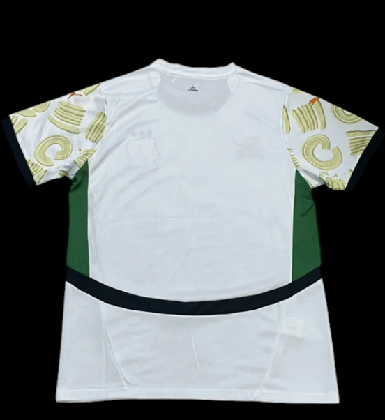 Cote d’Ivoire Maillot Extérieur 24/25