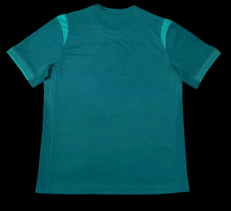 Nigéria Maillot Extérieur 25/26