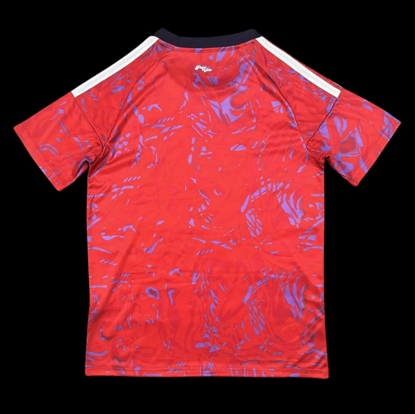 Costa Rica Maillot Domicile 26/27